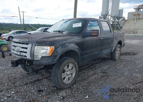 2009 Ford F-150 Fx4/King Ranch/Lariat/Platinum/Xl/Xlt из США, поврежденный, VIN 1FTPW14V49KC59679